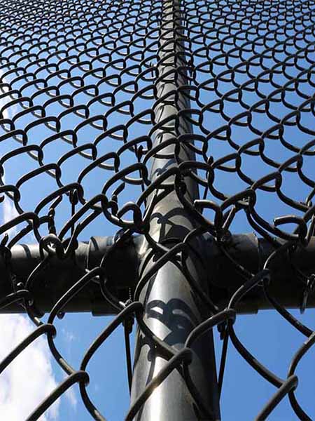 Unleashing the Beast: Extreme Sports and Chain link mesh